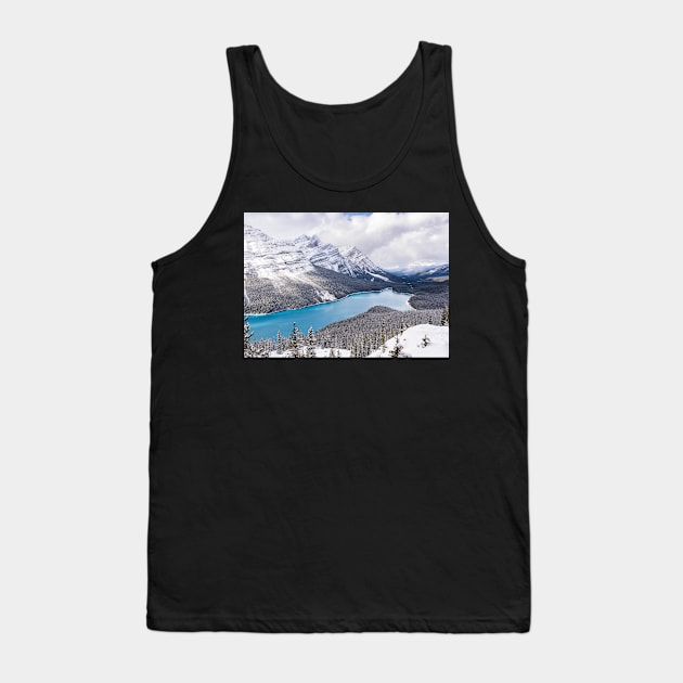 Winter Arrives at the Bow Summit Tank Top by krepsher